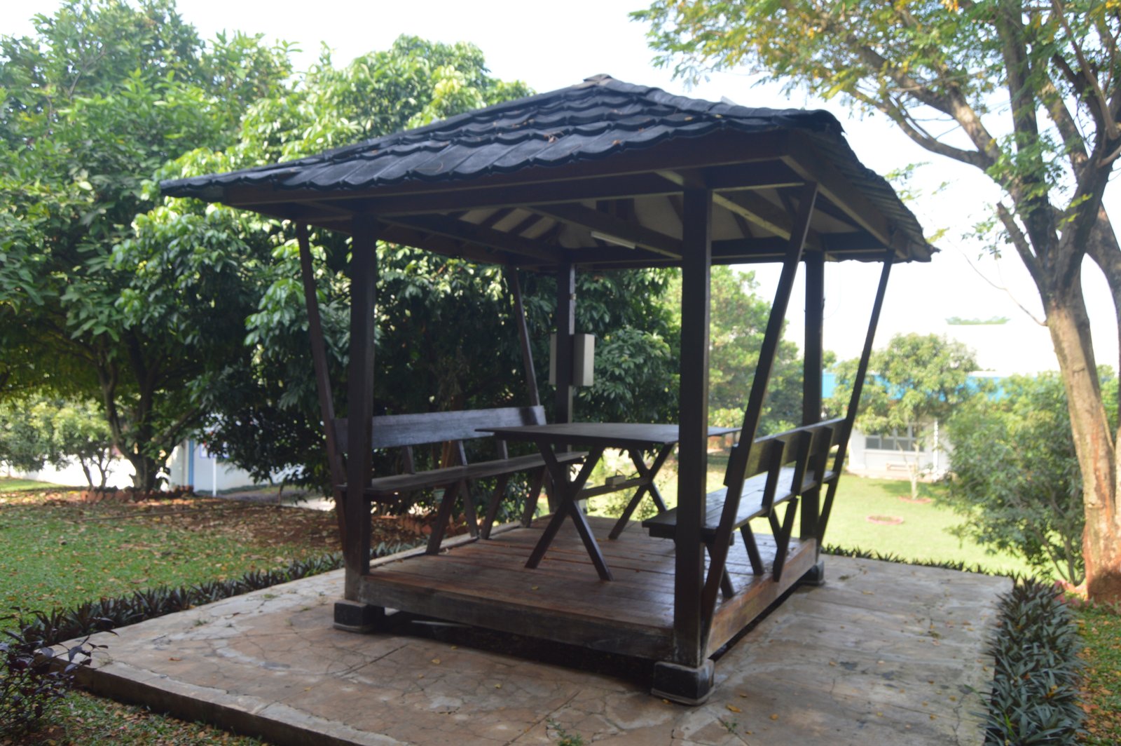 Mountains in the Clouds